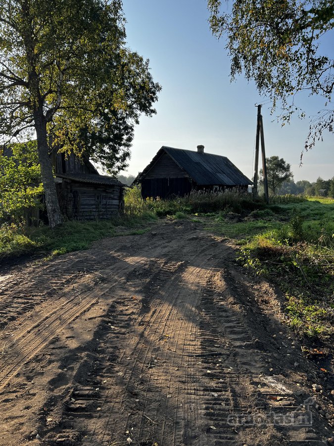 Parduodamos Dvi Sodybos 6 Ha Žemės Sklypuose - nuotraukos Nr. 23