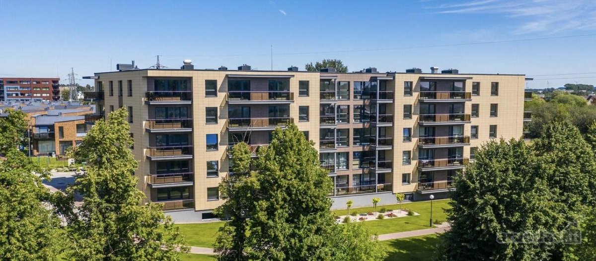 2 kambarių buto nuoma Palangoje, Veziu - nuotraukos Nr. 14