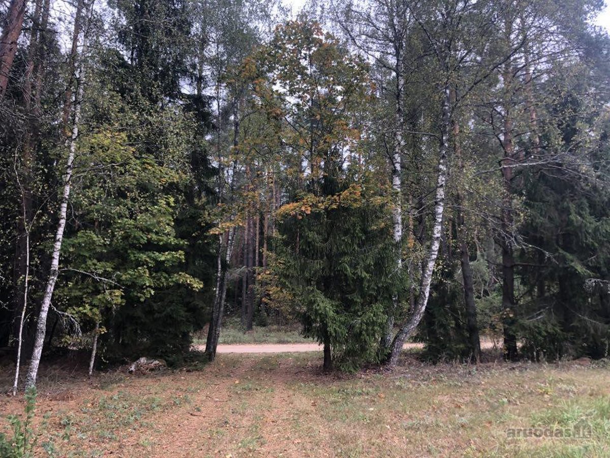 Parduodamas sklypas 4,36 ha. - nuotraukos Nr. 20