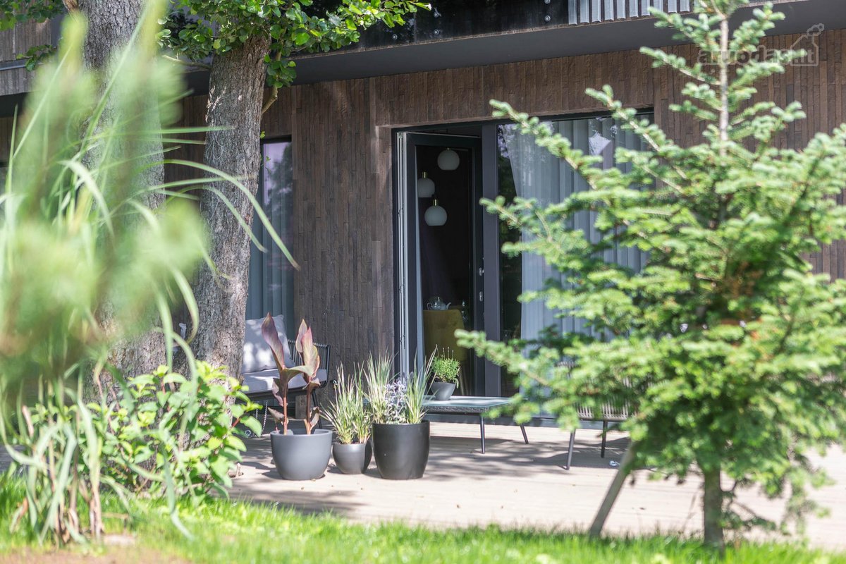 Pušų Terasos – tai apartamentai įsikūrę - nuotraukos Nr. 3