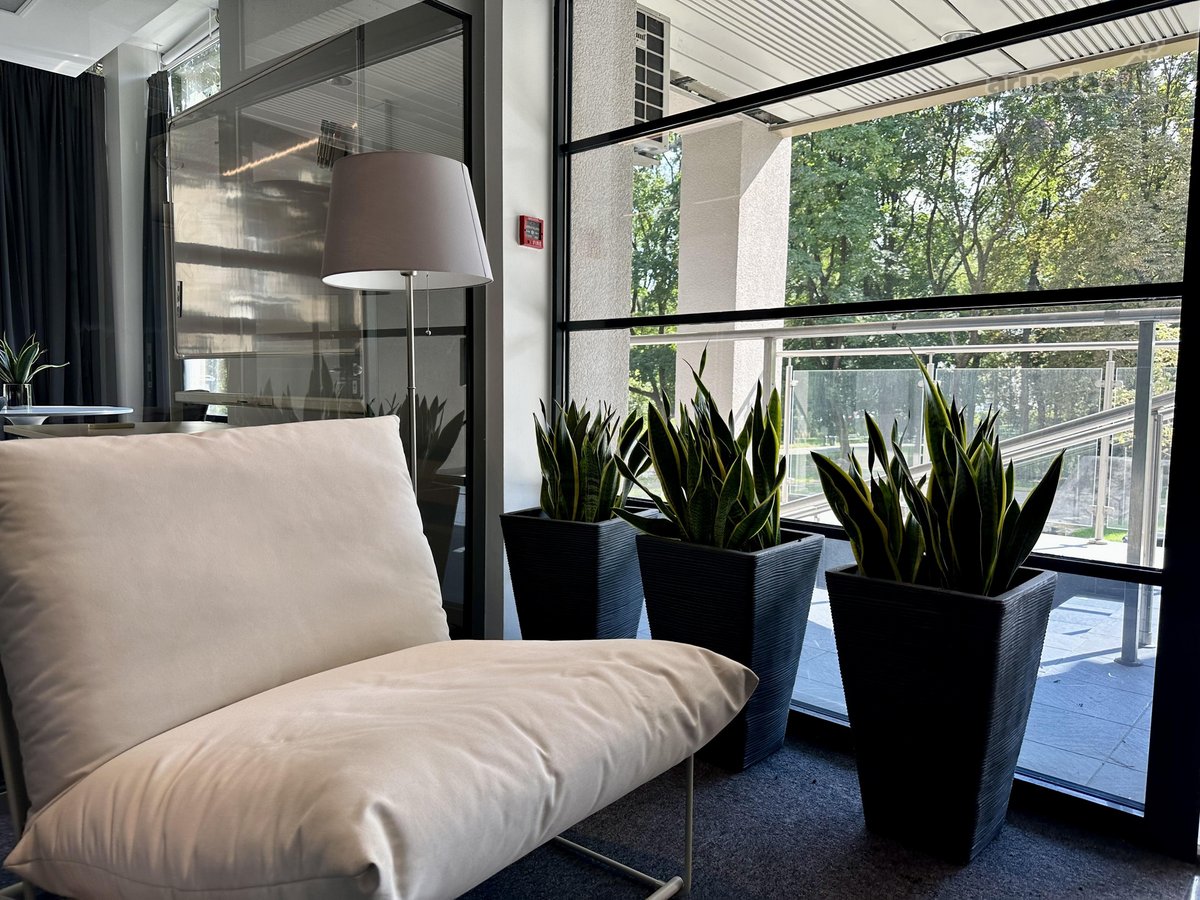 Zappa Square  workspace library  residence - nuotraukos Nr. 10