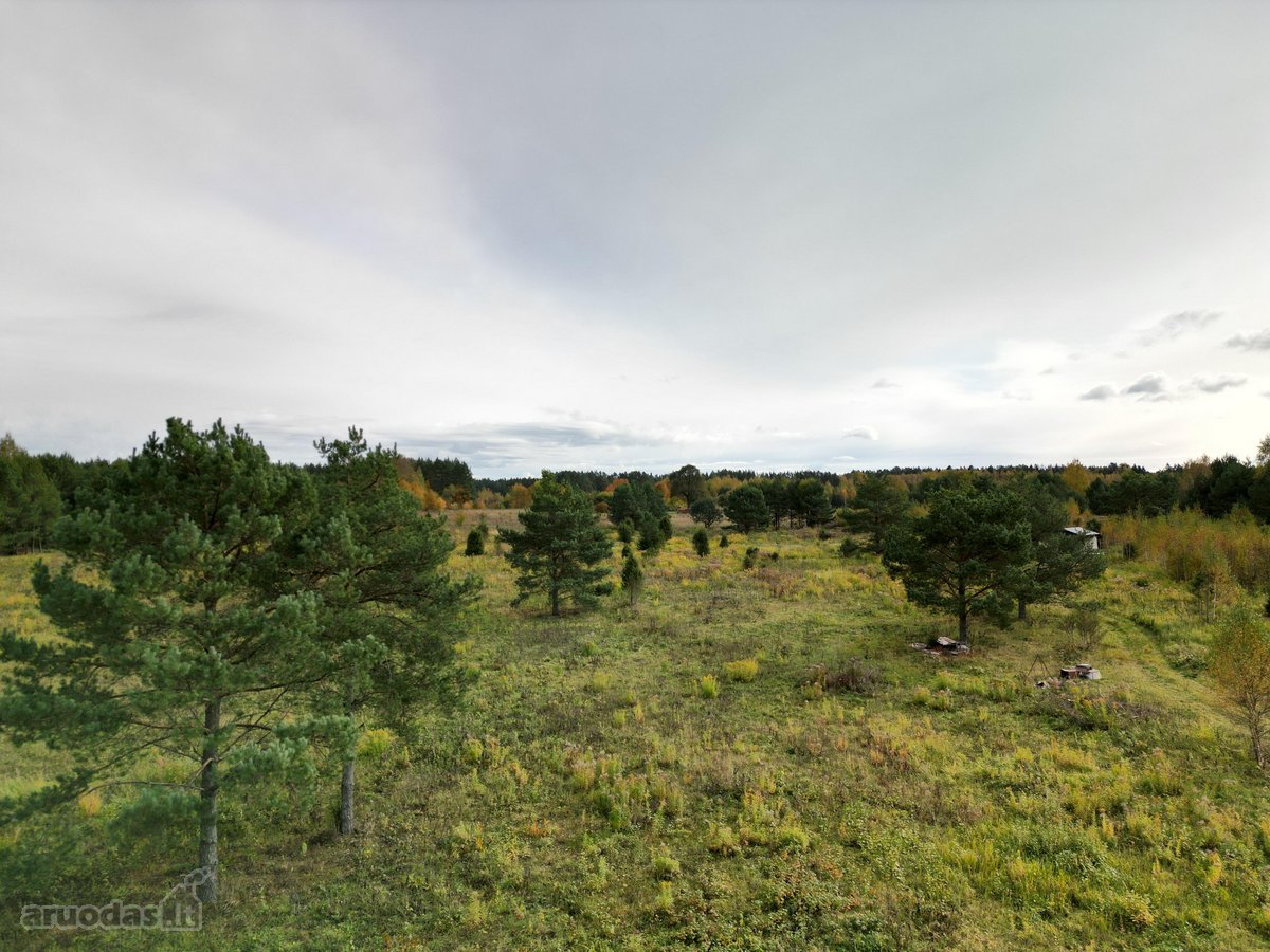 Parduodamas sklypas 4,36 ha. - nuotraukos Nr. 9