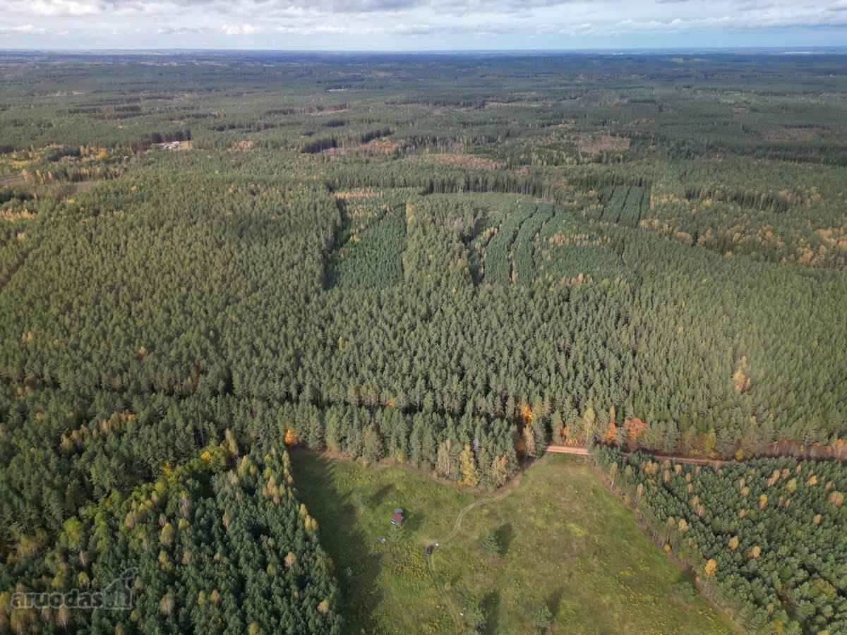 Parduodamas sklypas 4,36 ha. - nuotraukos Nr. 17
