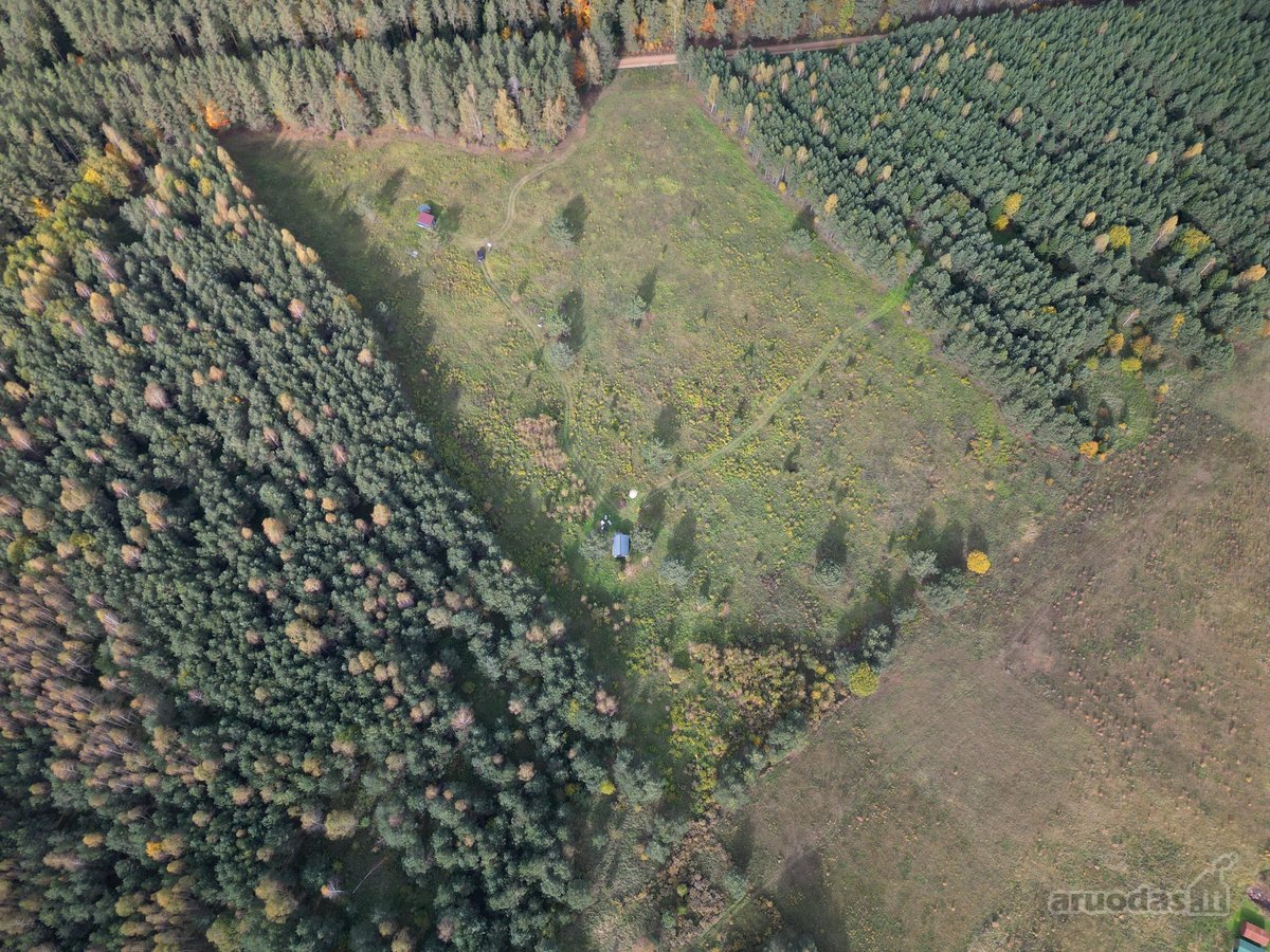 Parduodamas sklypas 4,36 ha. - nuotraukos Nr. 11