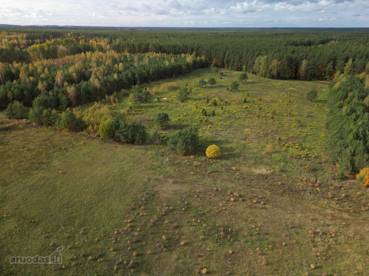 Parduodamas sklypas 4,36 ha. - nuotraukos Nr. 16