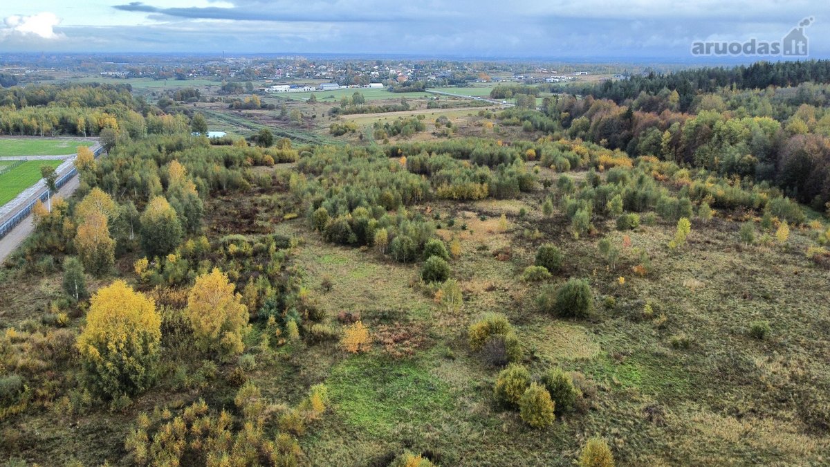 Parduodami 3 erdvūs sklypai vos 15 min nuo - nuotraukos Nr. 8