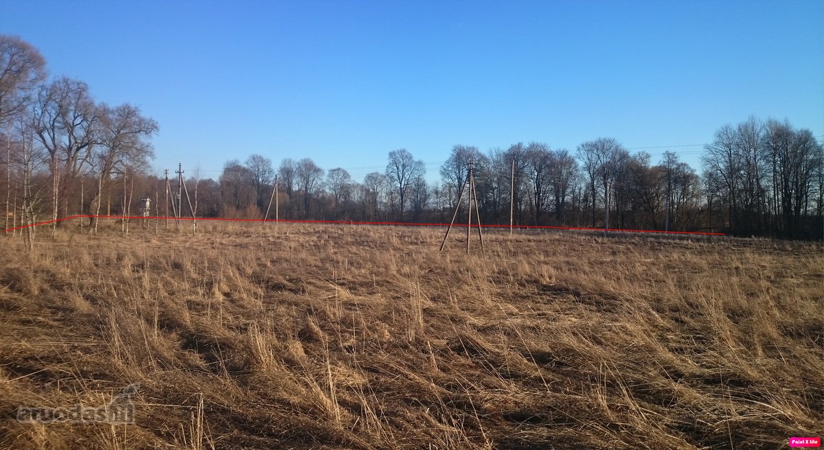 Parduodame 2.66ha žemės ūkio paskirties - nuotraukos Nr. 5