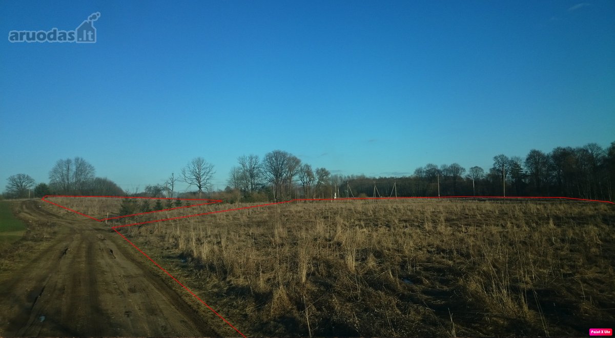 Parduodame 2.66ha žemės ūkio paskirties - nuotraukos Nr. 6