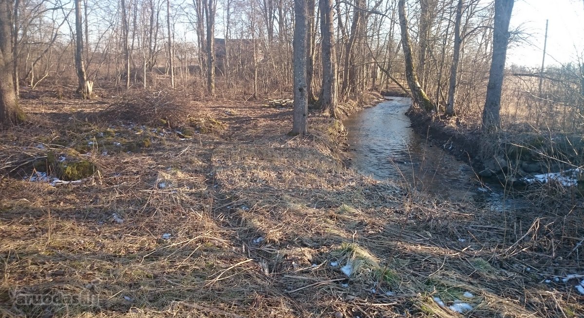 Parduodame 2.66ha žemės ūkio paskirties - nuotraukos Nr. 2
