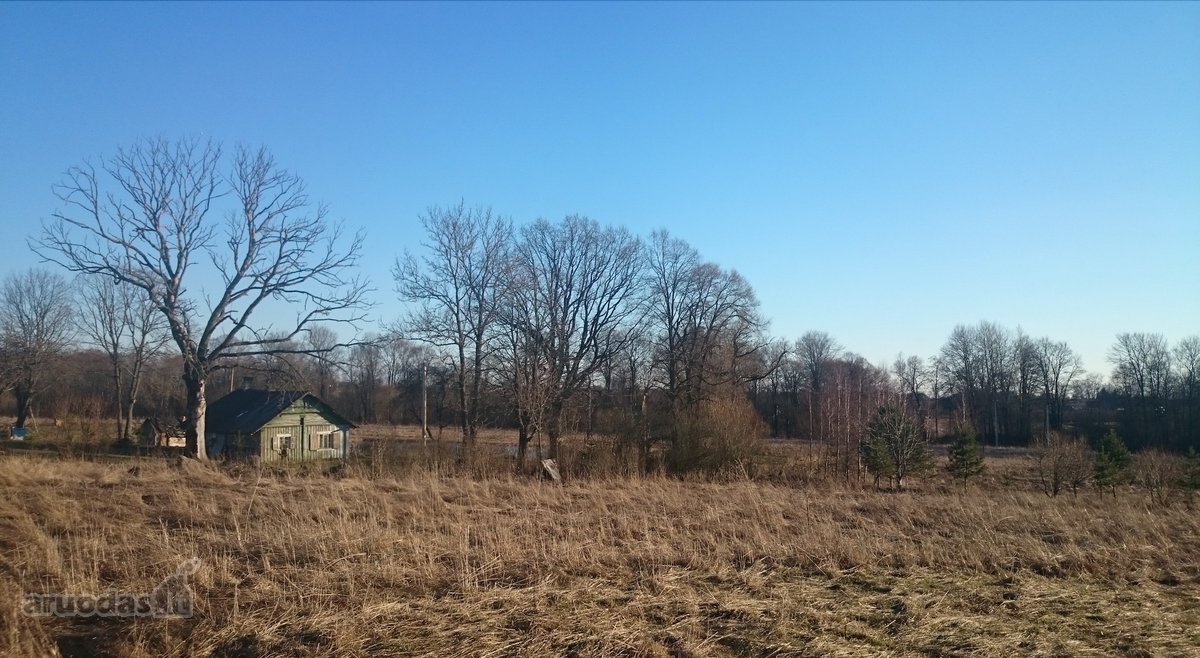 Parduodame 2.66ha žemės ūkio paskirties - nuotraukos Nr. 8