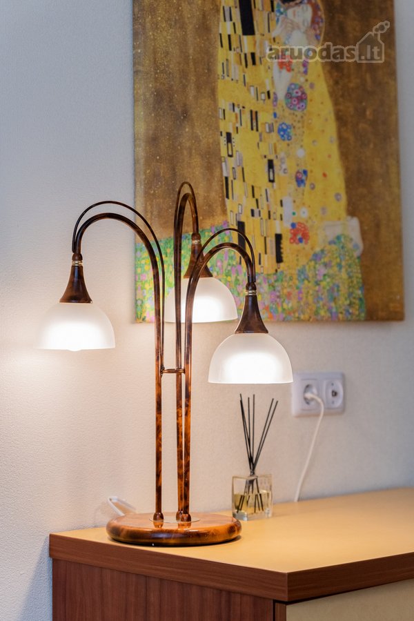 A.p. apartment - stilingas, jaukus 2-jų - nuotraukos Nr. 16