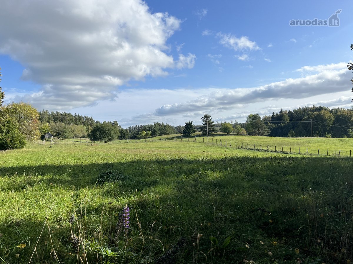 Kurtuvėnų regioniniame parke vieta naujai - nuotraukos Nr. 11