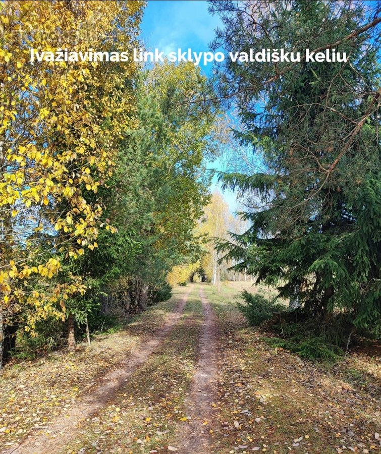 Parduodamas 1,2079 ha žemės ūkio paskirties - nuotraukos Nr. 11