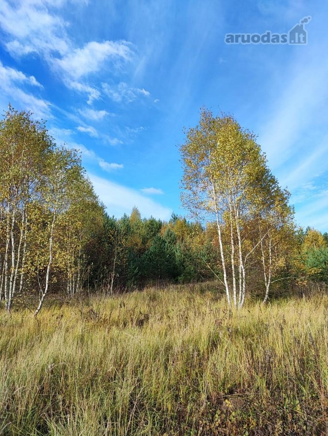 Parduodamas 1,2079 ha žemės ūkio paskirties - nuotraukos Nr. 6