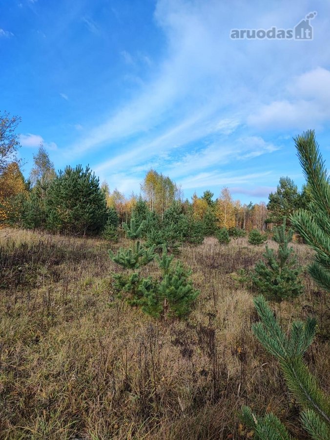 Parduodamas 1,2079 ha žemės ūkio paskirties - nuotraukos Nr. 7