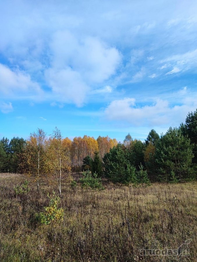 Parduodamas 1,2079 ha žemės ūkio paskirties - nuotraukos Nr. 10