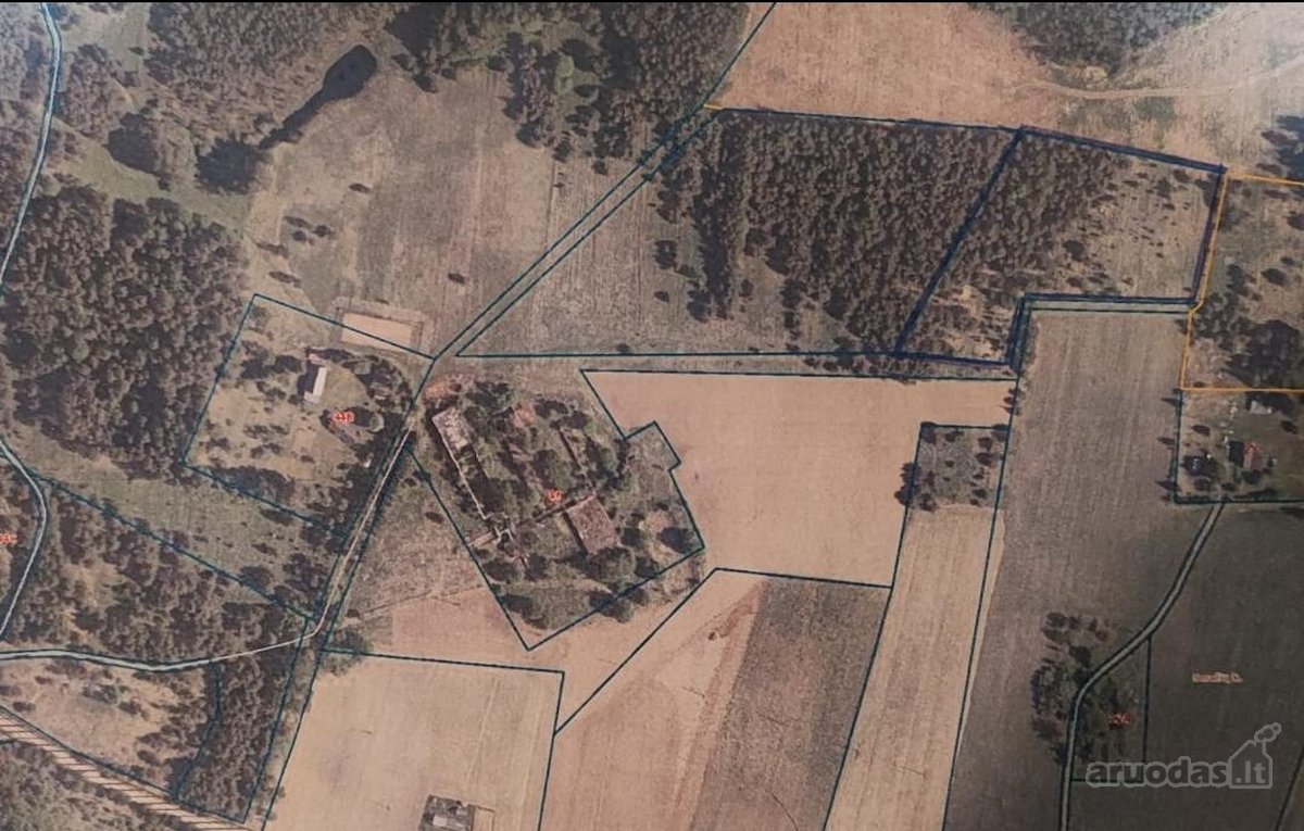 Parduodamas 1,2079 ha žemės ūkio paskirties - nuotraukos Nr. 26