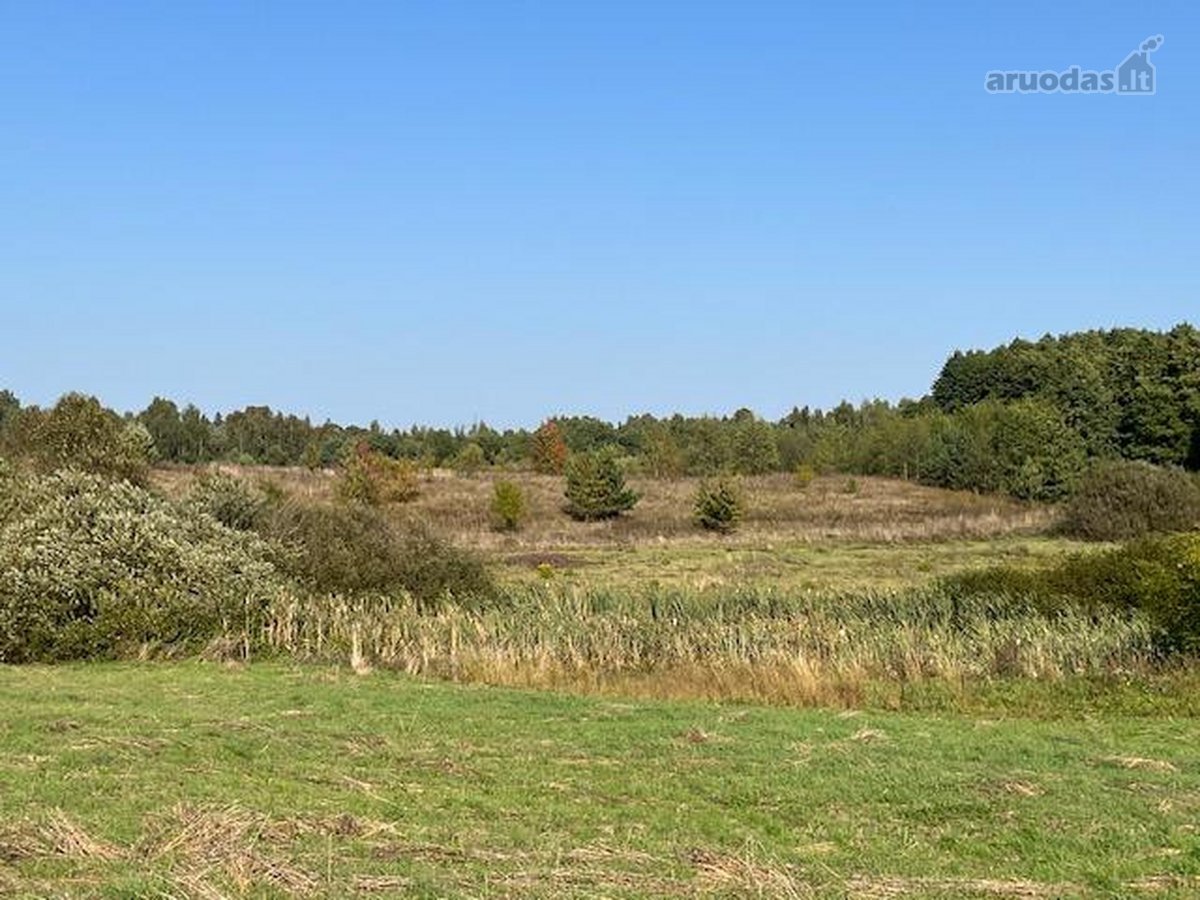 Parduodami du, esantys vienas šalia kito, po - nuotraukos Nr. 2