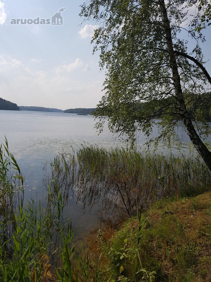 Išskirtinė, Unikali vieta - Antalieptės marių
