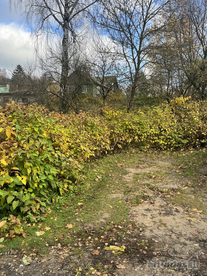 Parduodamas 9,12 a namų valdos sklypas - nuotraukos Nr. 7