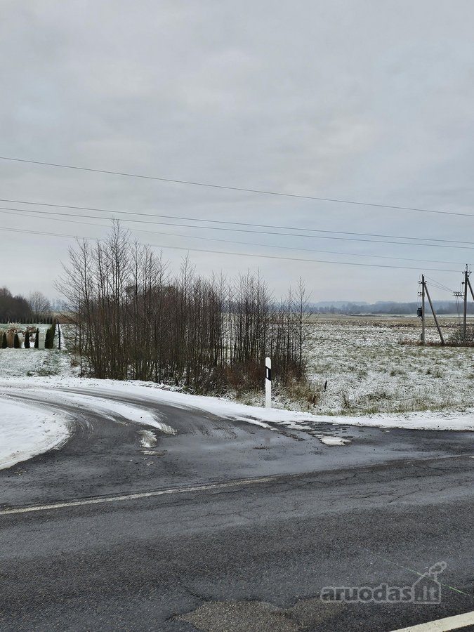 Parduodamas 1,38 ha sklypas 2 km nuo Tauragės - nuotraukos Nr. 2