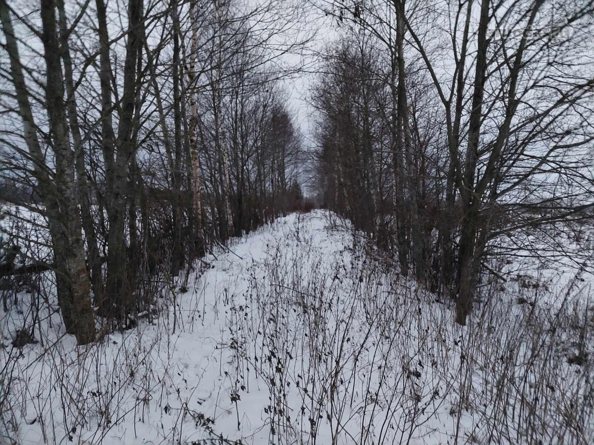 Parduodama nudęgusi sodyba, tvartas su 5,4 ha - nuotraukos Nr. 7