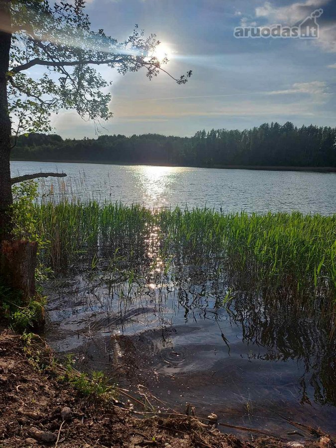 Prestižinėje vietoje ant Sarių ežero kranto