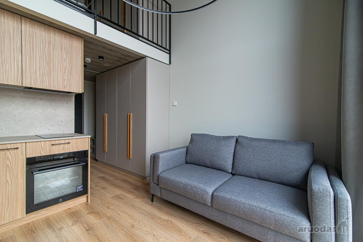 Nuomojamas erdvus ir šviesus loftas, projekte - nuotraukos Nr. 5