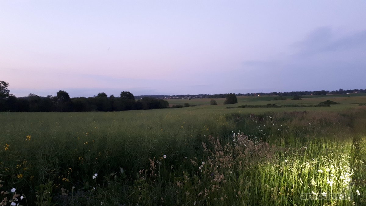 Parduodami du šalia esantys žemės sklypai (2 - nuotraukos Nr. 2