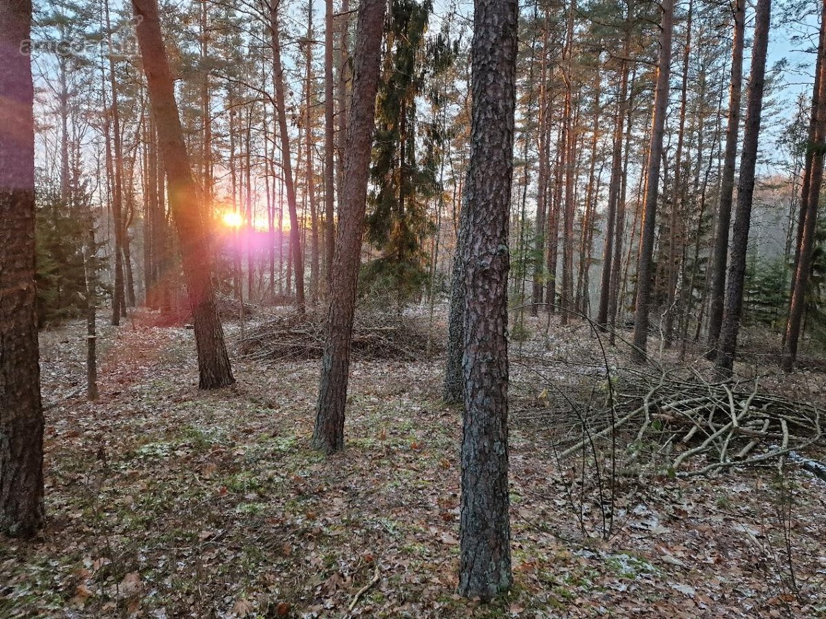 Yra pirties projektas ir nuotėkų įrenginių - nuotraukos Nr. 8