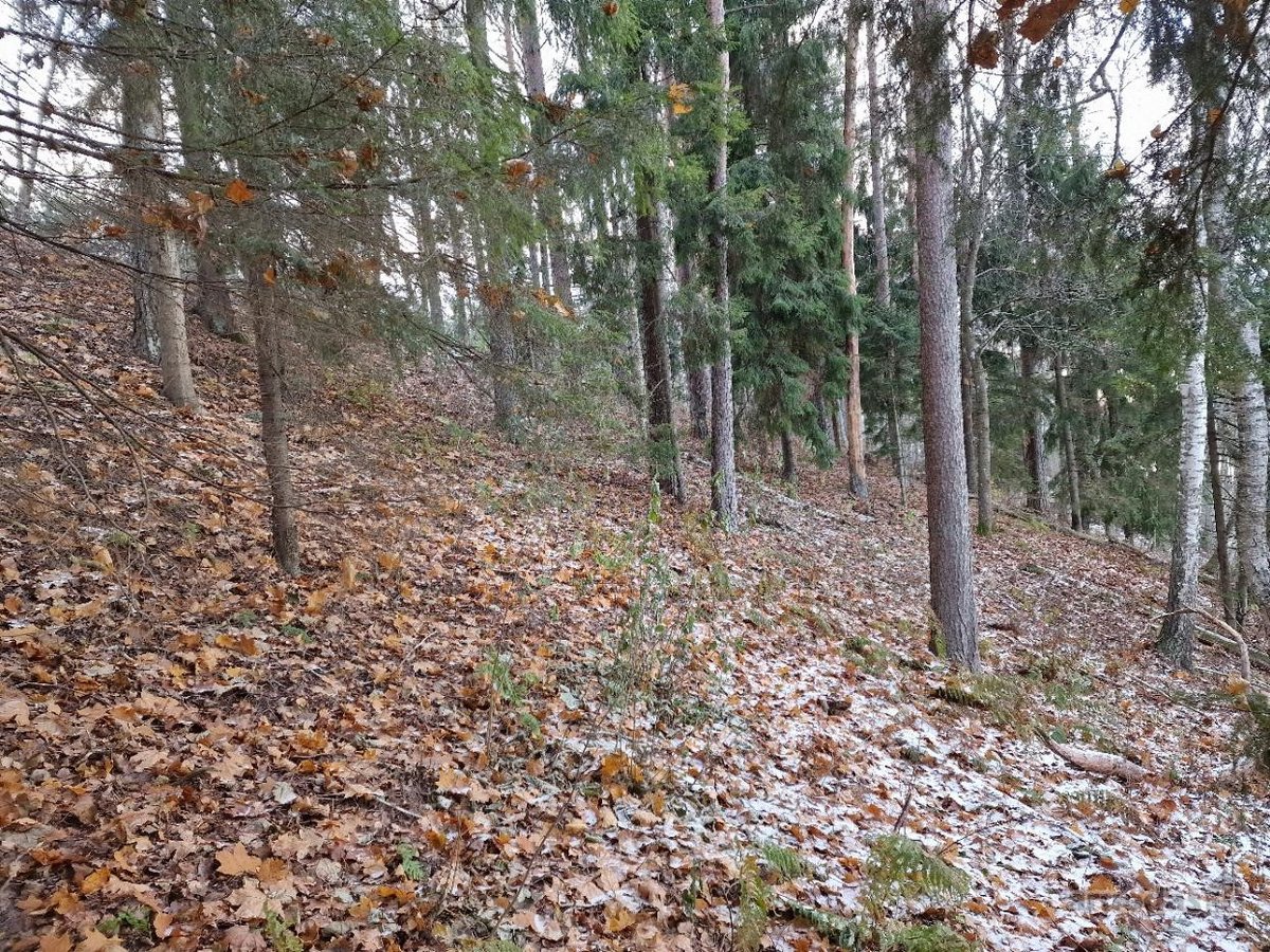 Yra pirties projektas ir nuotėkų įrenginių - nuotraukos Nr. 11
