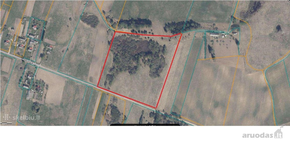 3,95 ha žemės ūkio paskirties žemės sklypas - nuotraukos Nr. 3