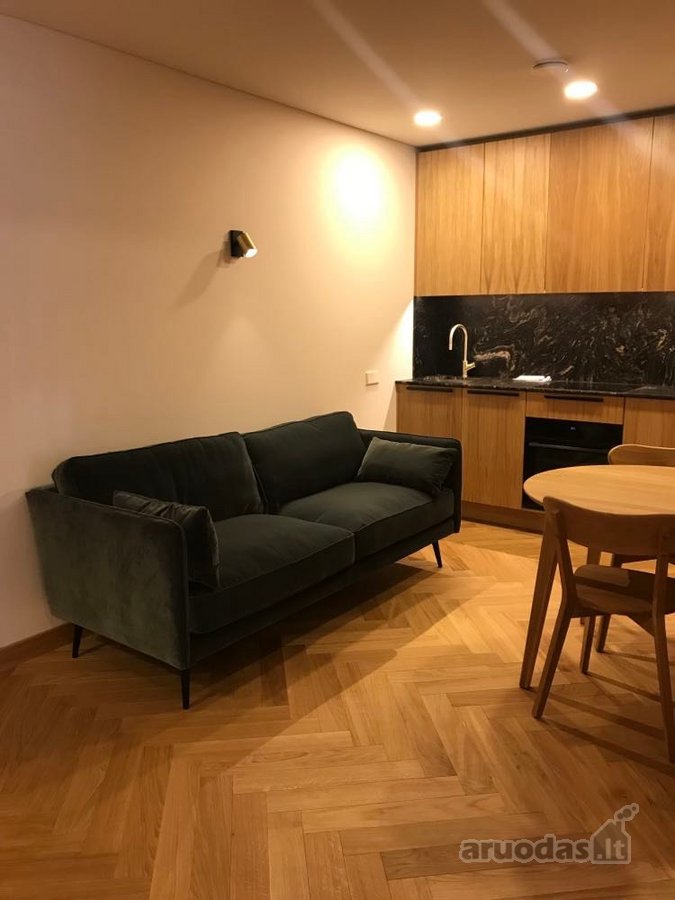 Nuomojami išskirtinės kokybės, estetiškumo, - nuotraukos Nr. 15