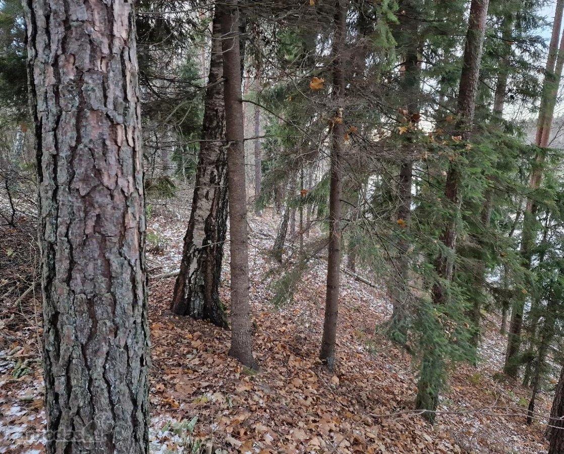 Yra pirties projektas ir nuotėkų įrenginių - nuotraukos Nr. 24