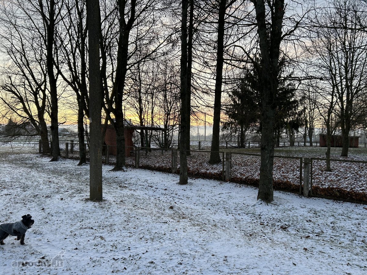 Ažytėnų kaime, Kėdainių rajone parduodamos - nuotraukos Nr. 25