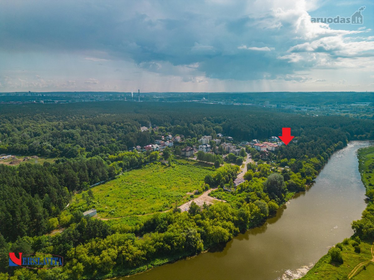 Greta Lazdynėlių, Bukčiuose, Bukčių pušyno - nuotraukos Nr. 4