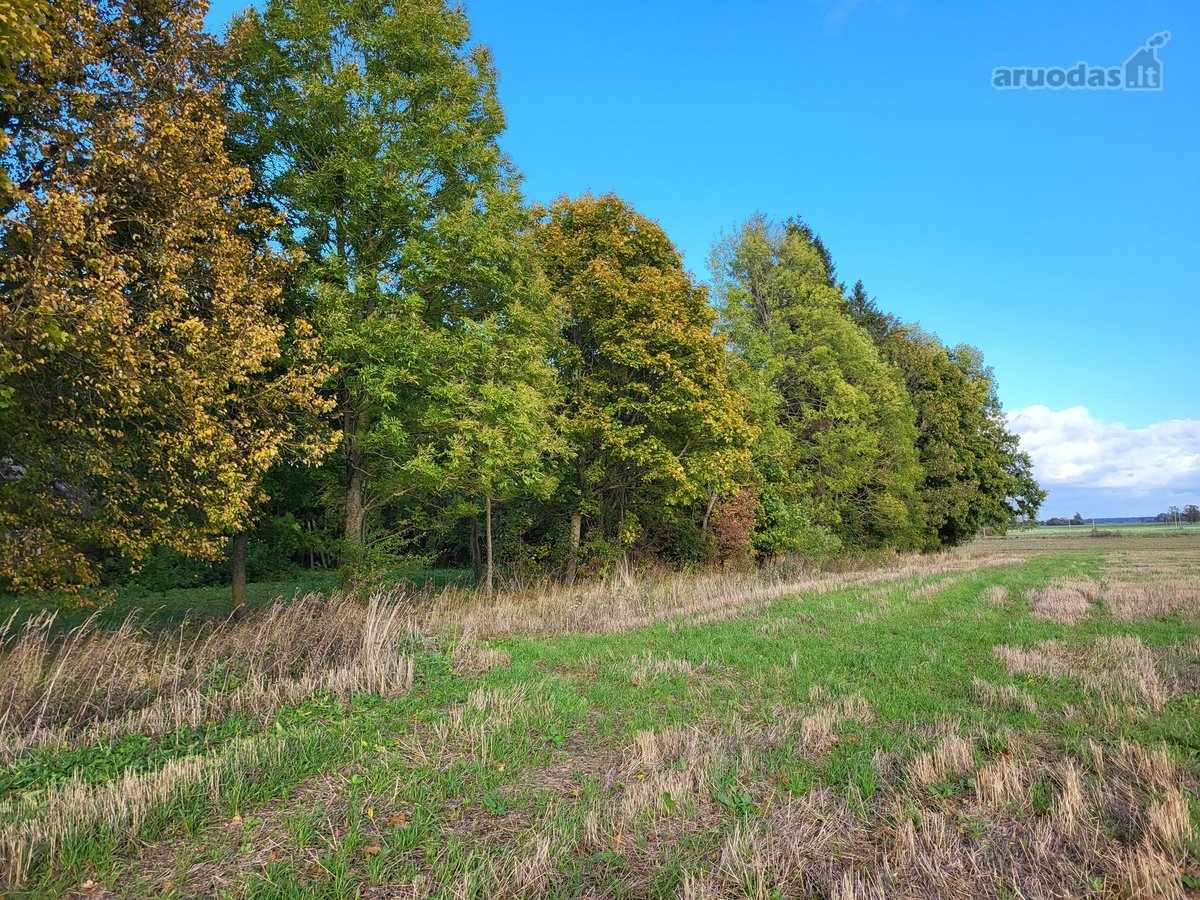 Parduodama sodyba su žeme (4,82 ha) - nuotraukos Nr. 2