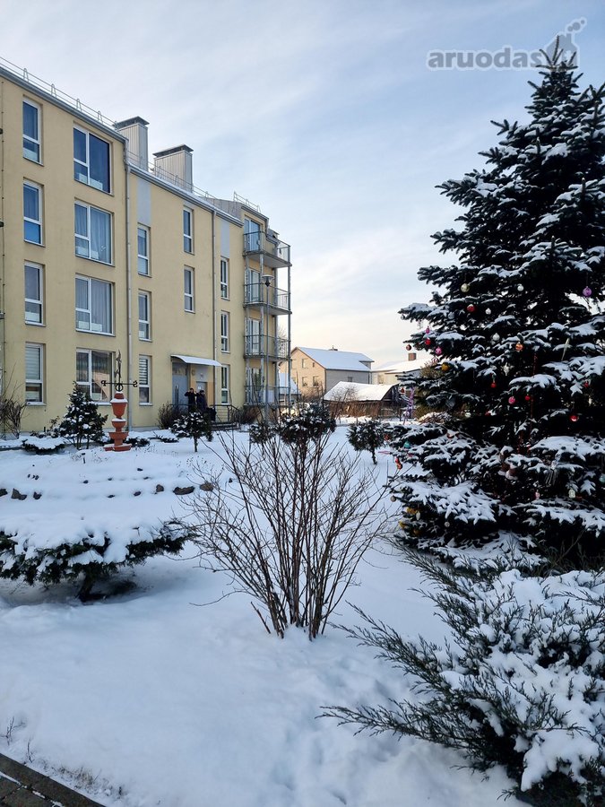 Nuomojamas šviesus, tvarkingas ir šiltas 1 - nuotraukos Nr. 15