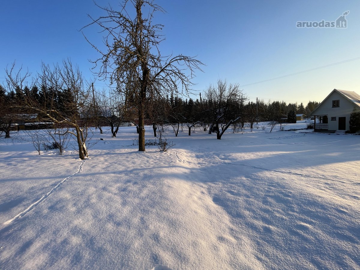 Sklypas, Pasvalyje Saulėtekio G. Sklypas Nekilnojamo Turto Skelbimai ...