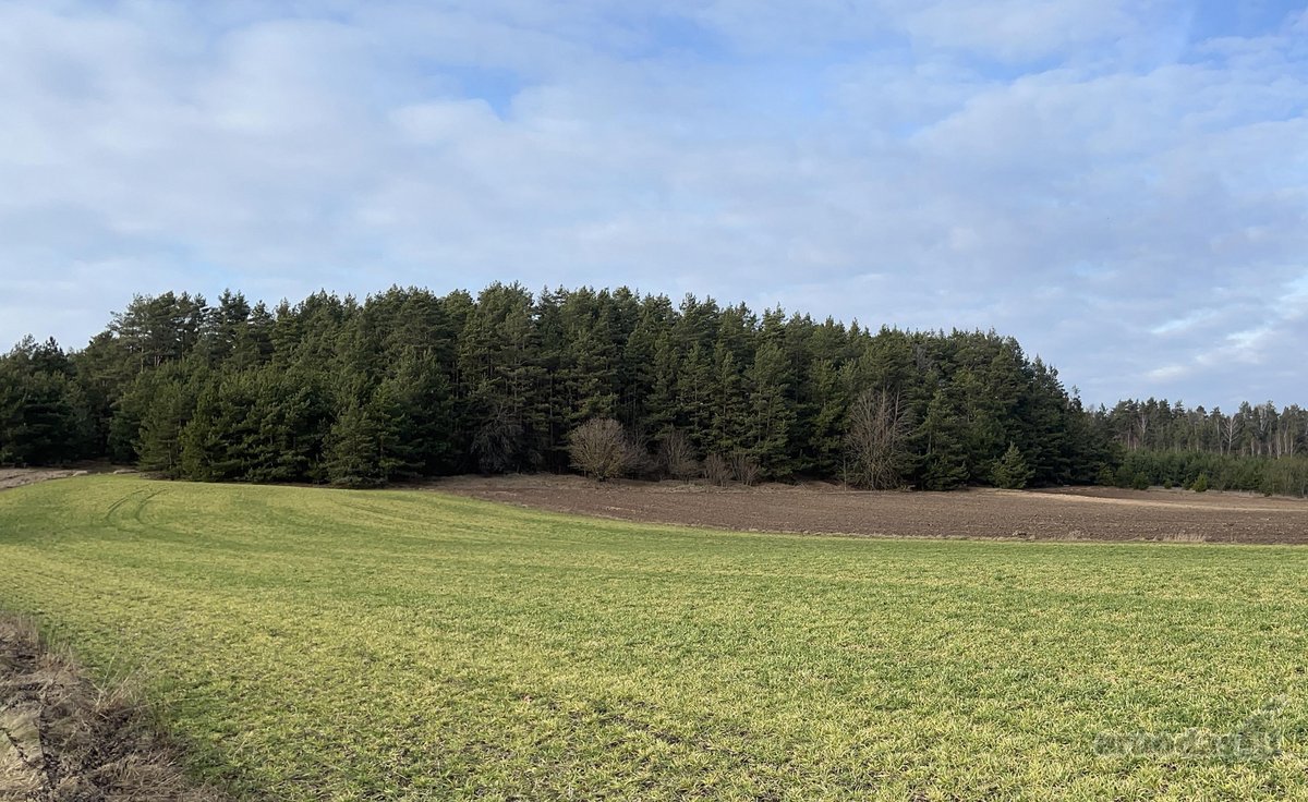 Parduodamas Žemės sklypas 5,28ha