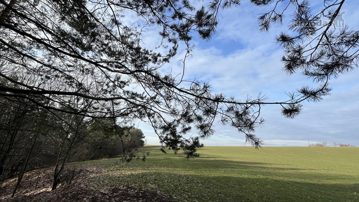 Parduodamas Žemės sklypas 5,28ha - nuotraukos Nr. 2