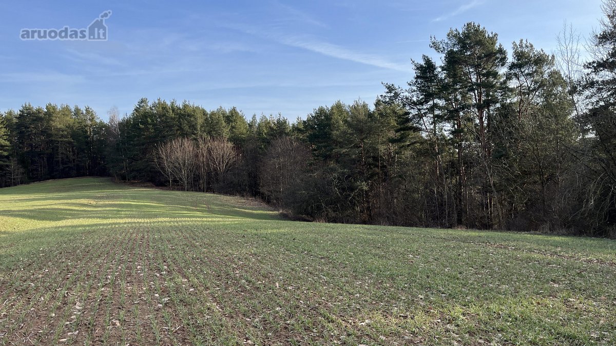 Parduodamas Žemės sklypas 5,28ha - nuotraukos Nr. 3