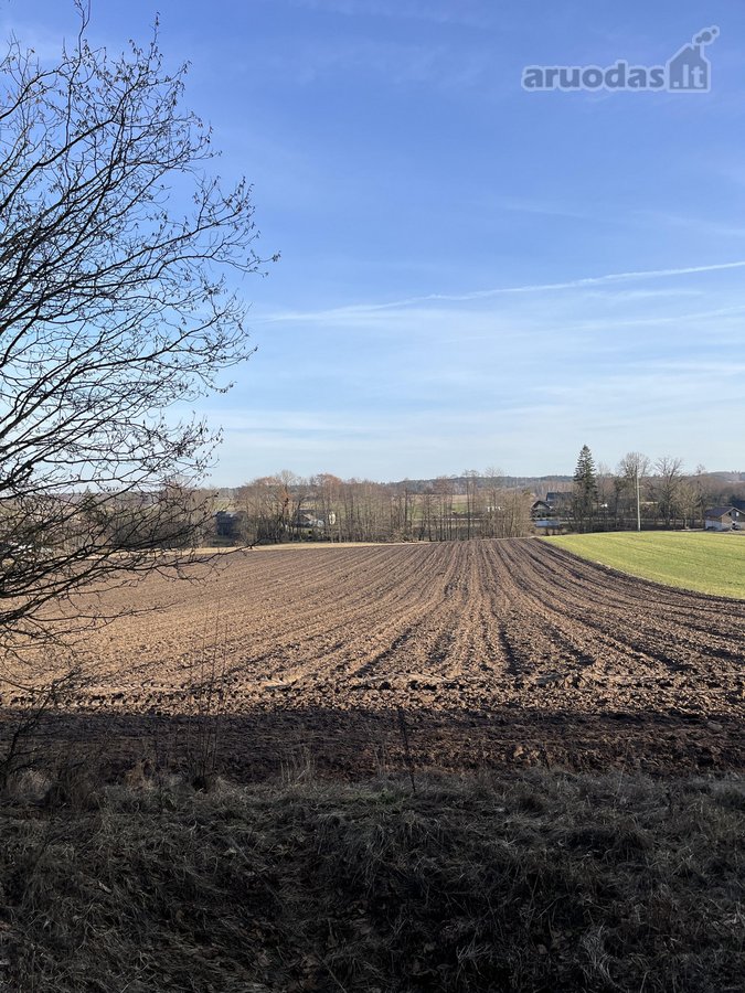Parduodamas Žemės sklypas 5,28ha - nuotraukos Nr. 5