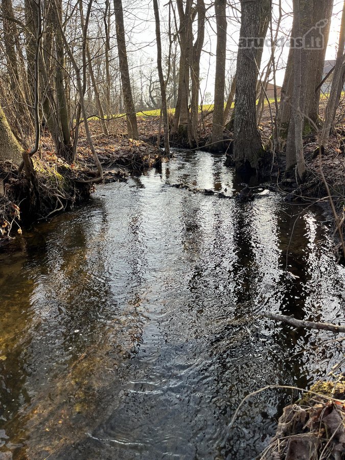 Parduodamas Žemės sklypas 5,28ha - nuotraukos Nr. 11