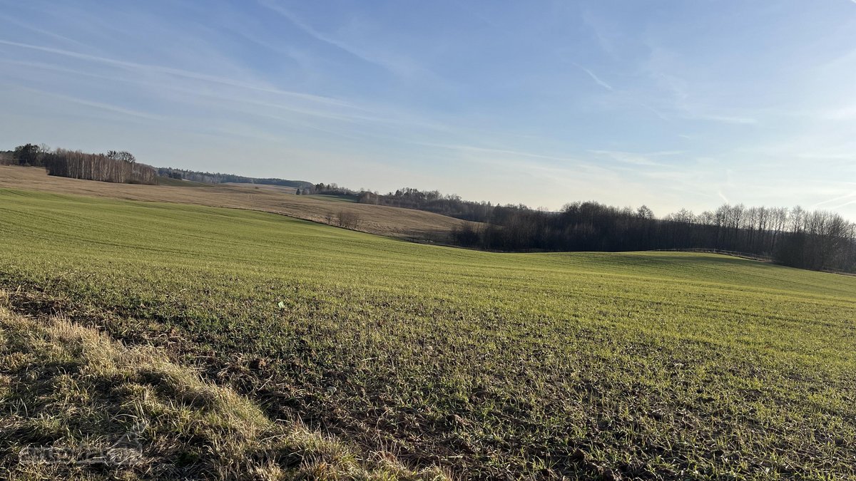 Parduodamas Žemės sklypas 5,28ha - nuotraukos Nr. 14