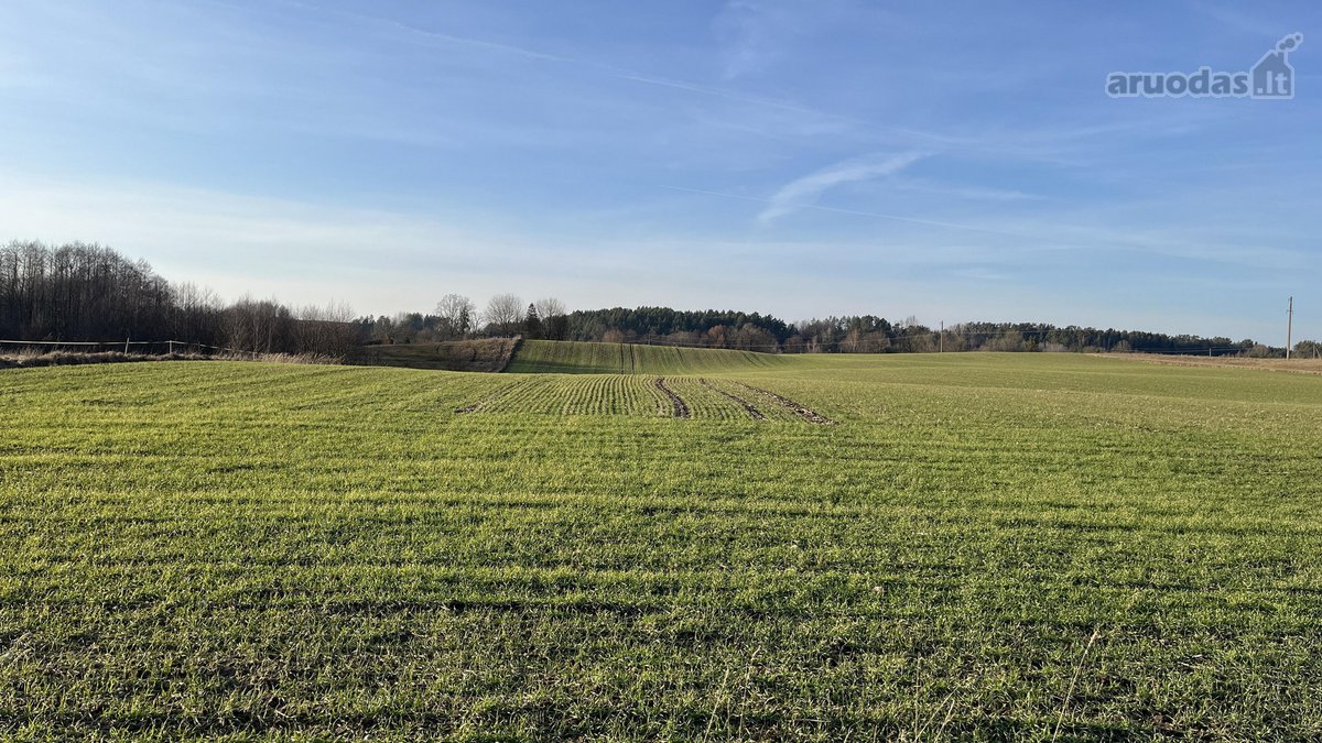Parduodamas Žemės sklypas 5,28ha - nuotraukos Nr. 15