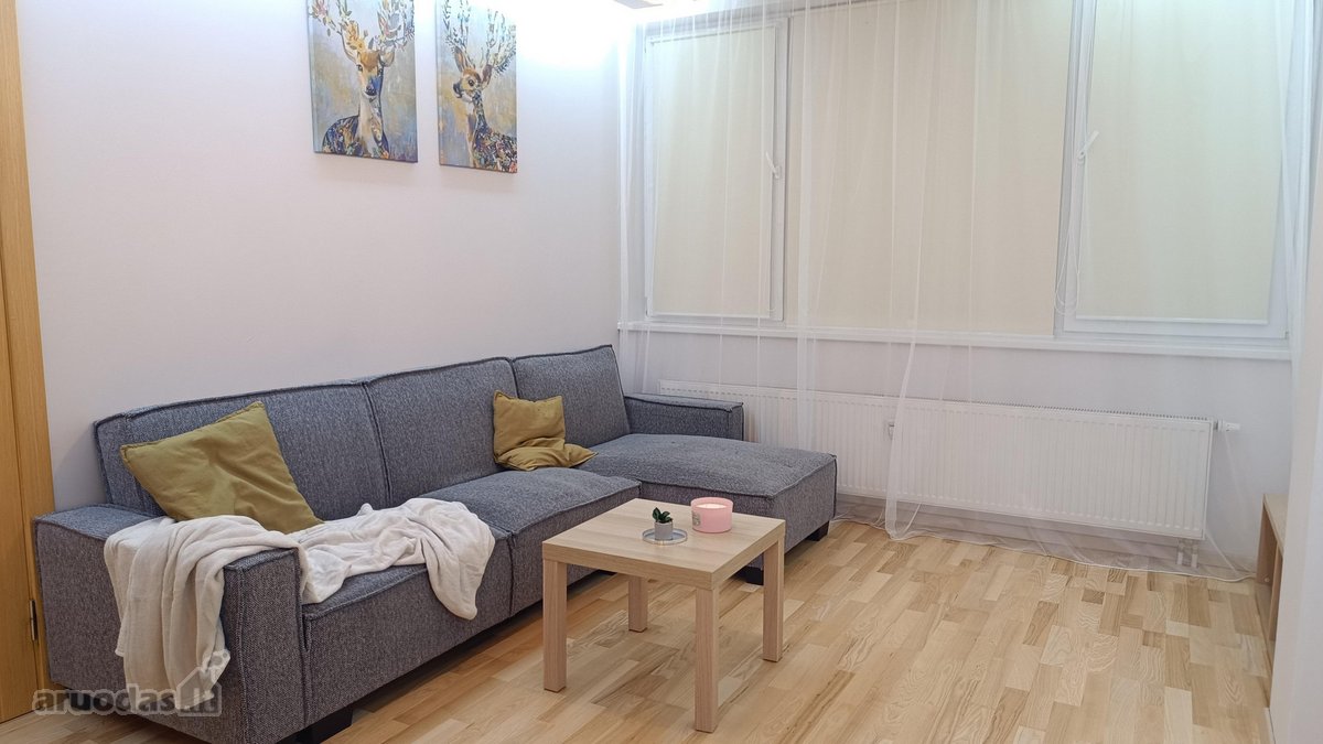 Nuomojamas šviesus, pilnai įrengtas butas su - nuotraukos Nr. 3