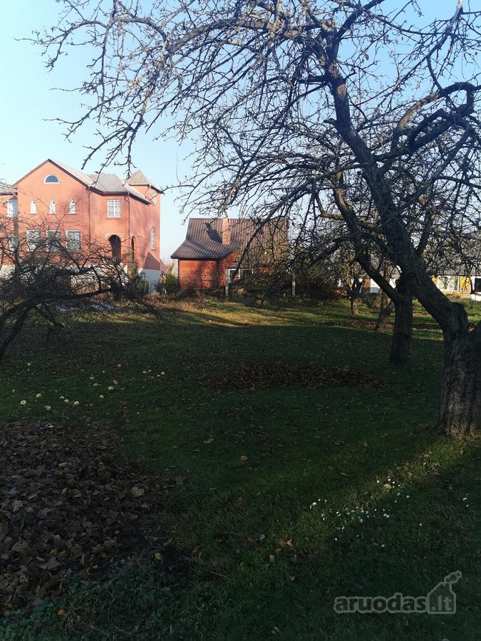 Biržų r. sav., Biržų m.