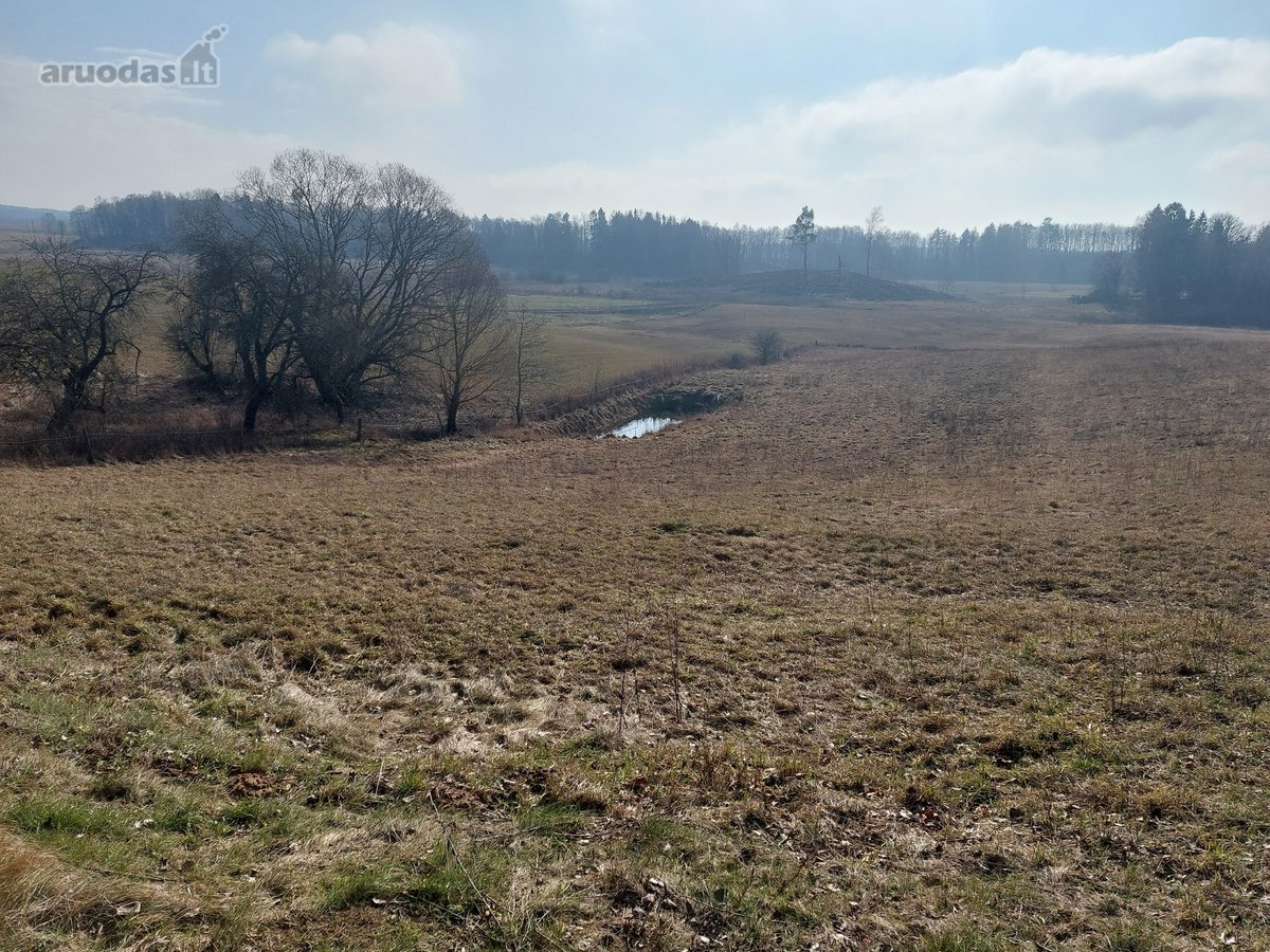 Lazdijų rajone, Paliūnų kaime, Beržų g.20 ir - nuotraukos Nr. 17