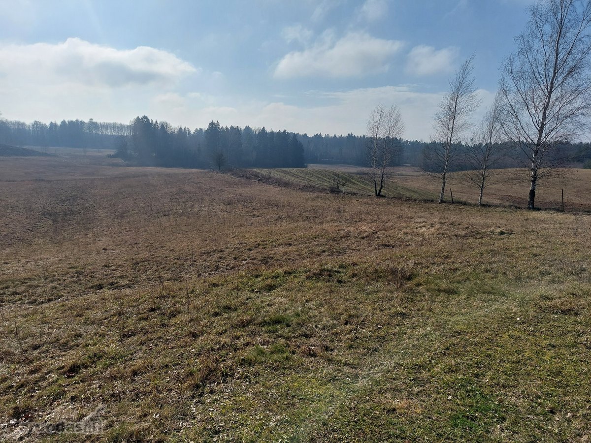 Lazdijų rajone, Paliūnų kaime, Beržų g.20 ir - nuotraukos Nr. 18